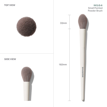 M164 Small Pointed Powder Brush